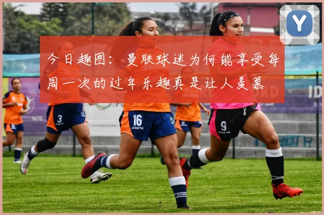今日趣图：曼联球迷为何能享受每周一次的过年乐趣真是让人羡慕