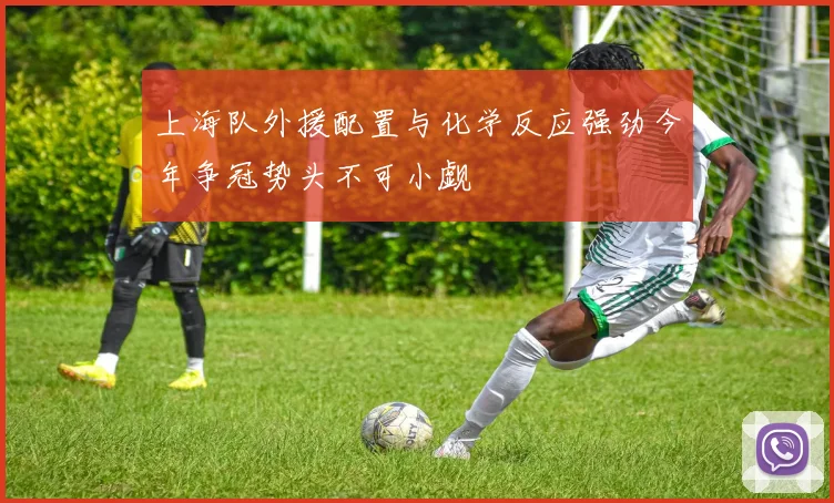 上海队外援配置与化学反应强劲今年争冠势头不可小觑